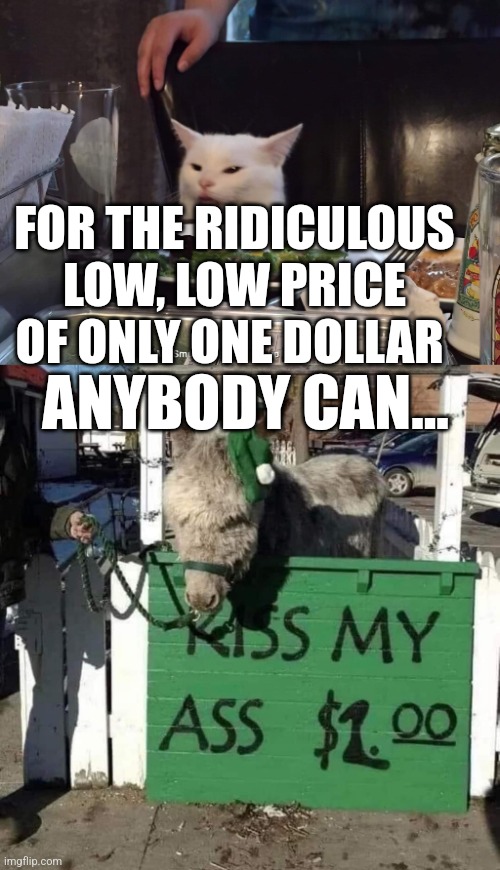  FOR THE RIDICULOUS LOW, LOW PRICE OF ONLY ONE DOLLAR; ANYBODY CAN... | image tagged in smudge the cat | made w/ Imgflip meme maker