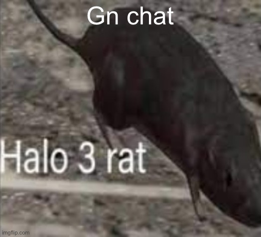 halo 3 rat | Gn chat | image tagged in halo 3 rat | made w/ Imgflip meme maker