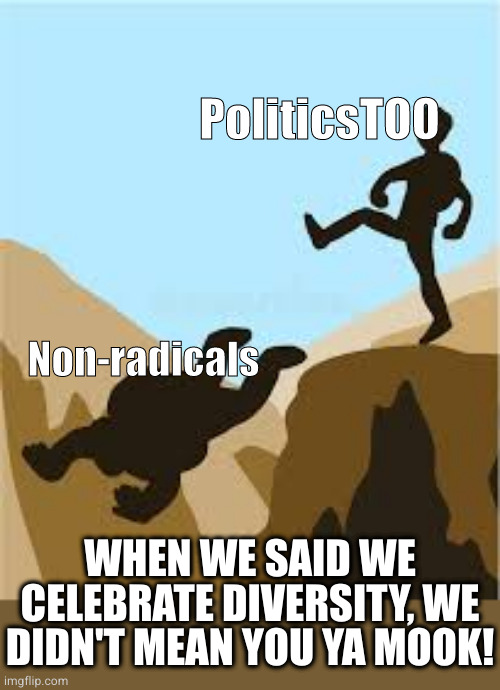 Kicking someone off a cliff | PoliticsTOO Non-radicals WHEN WE SAID WE CELEBRATE DIVERSITY, WE DIDN'T MEAN YOU YA MOOK! | image tagged in kicking someone off a cliff | made w/ Imgflip meme maker