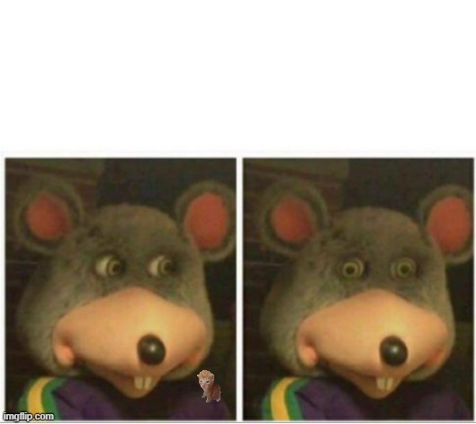 chuck e cheese rat stare | image tagged in chuck e cheese rat stare | made w/ Imgflip meme maker