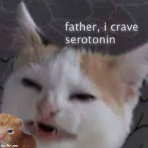 Crave Serotonin | image tagged in crave serotonin | made w/ Imgflip meme maker