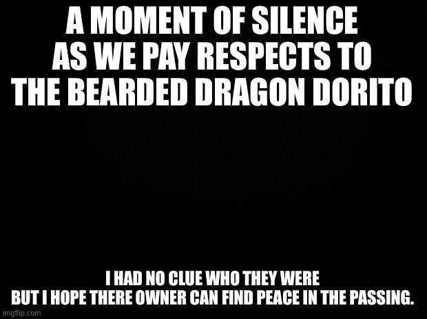 O7 | A MOMENT OF SILENCE AS WE PAY RESPECTS TO THE BEARDED DRAGON DORITO; I HAD NO CLUE WHO THEY WERE
BUT I HOPE THERE OWNER CAN FIND PEACE IN THE PASSING. | image tagged in black background | made w/ Imgflip meme maker