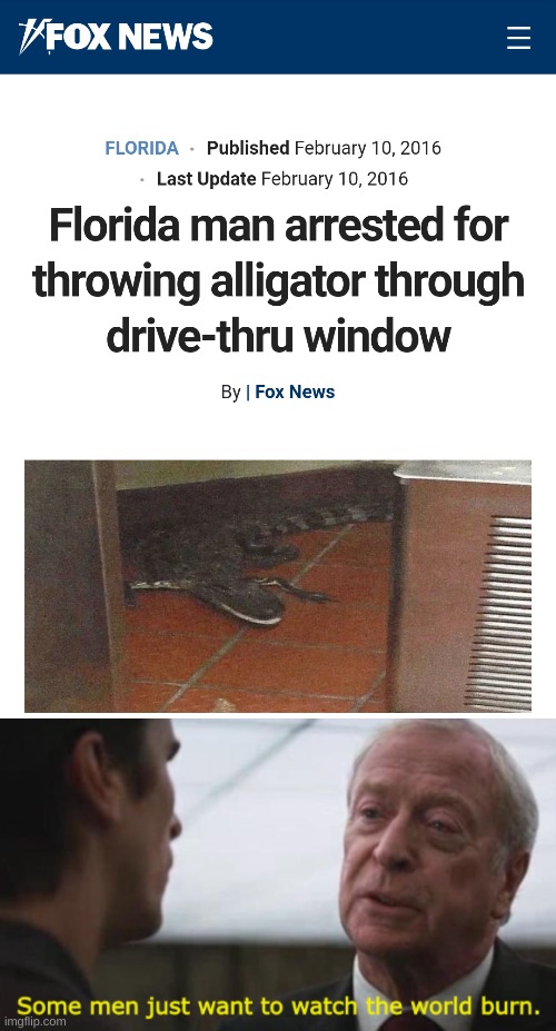 Florida turning into the new Ohio | image tagged in some men just want to watch the world burn,florida,florida man,alligator | made w/ Imgflip meme maker
