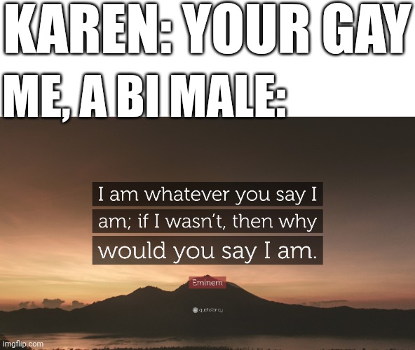 I am whatever you say i am, if I wasn't, then why would I say I am | KAREN: YOUR GAY; ME, A BI MALE: | made w/ Imgflip meme maker