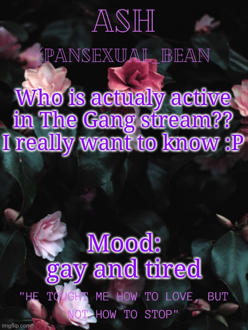 Hola | Who is actualy active in The Gang stream?? I really want to know :P; Mood: gay and tired | image tagged in ash's announcement template | made w/ Imgflip meme maker