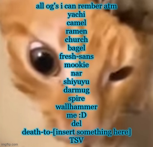 there were also some others i remember the temps of but not names | all og's i can rember atm

yachi
camel
ramen
church
bagel
fresh-sans
mookie
nar
shiyuyu
darmug
spire
wallhammer
me :D
del
death-to-[insert something here]
TSV | image tagged in el gato | made w/ Imgflip meme maker