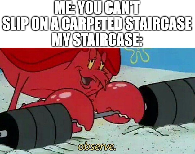 How does it happen??? |  ME: YOU CAN'T SLIP ON A CARPETED STAIRCASE
MY STAIRCASE: | image tagged in observe | made w/ Imgflip meme maker