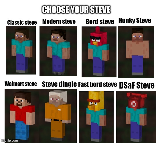 The | CHOOSE YOUR STEVE; Hunky Steve; Bord steve; Modern steve; Classic steve; Walmart steve; Steve dingle; Fast bord steve; DSaF Steve | image tagged in minecraft | made w/ Imgflip meme maker