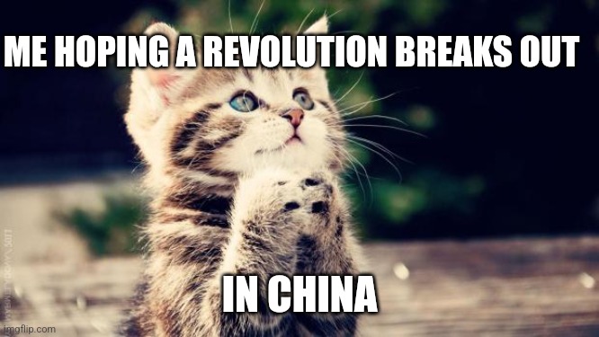 Praying cat | ME HOPING A REVOLUTION BREAKS OUT; IN CHINA | image tagged in praying cat | made w/ Imgflip meme maker