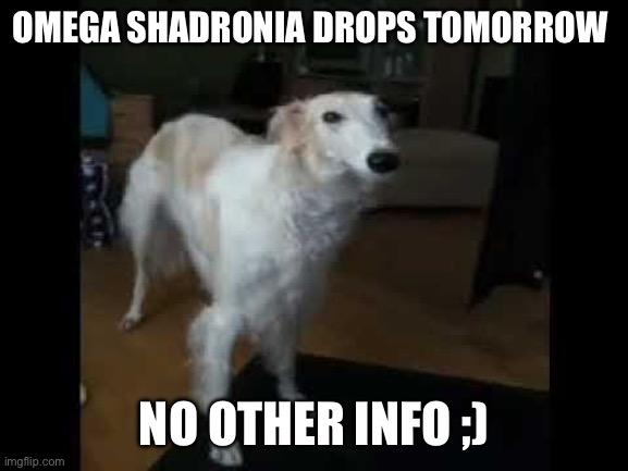 Low quality borzoi dog | OMEGA SHADRONIA DROPS TOMORROW; NO OTHER INFO ;) | image tagged in low quality borzoi dog | made w/ Imgflip meme maker