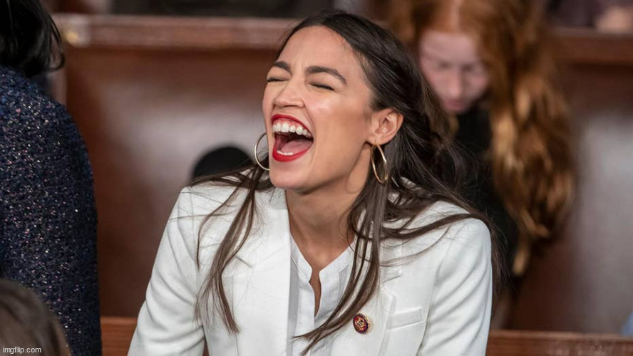 aoc Braying donkey-style | image tagged in aoc braying donkey-style | made w/ Imgflip meme maker