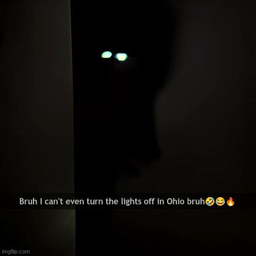 Ohio is wild | Bruh I can't even turn the lights off in Ohio bruh🤣😂🔥 | made w/ Imgflip meme maker