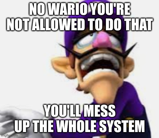NO WARIO YOU'RE NOT ALLOWED TO DO THAT YOU'LL MESS UP THE WHOLE SYSTEM | made w/ Imgflip meme maker