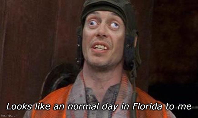 Looks Good To Me | Looks like an normal day in Florida to me | image tagged in looks good to me | made w/ Imgflip meme maker