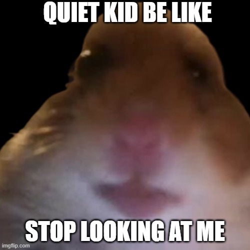 excuse me | QUIET KID BE LIKE; STOP LOOKING AT ME | image tagged in excuse me | made w/ Imgflip meme maker
