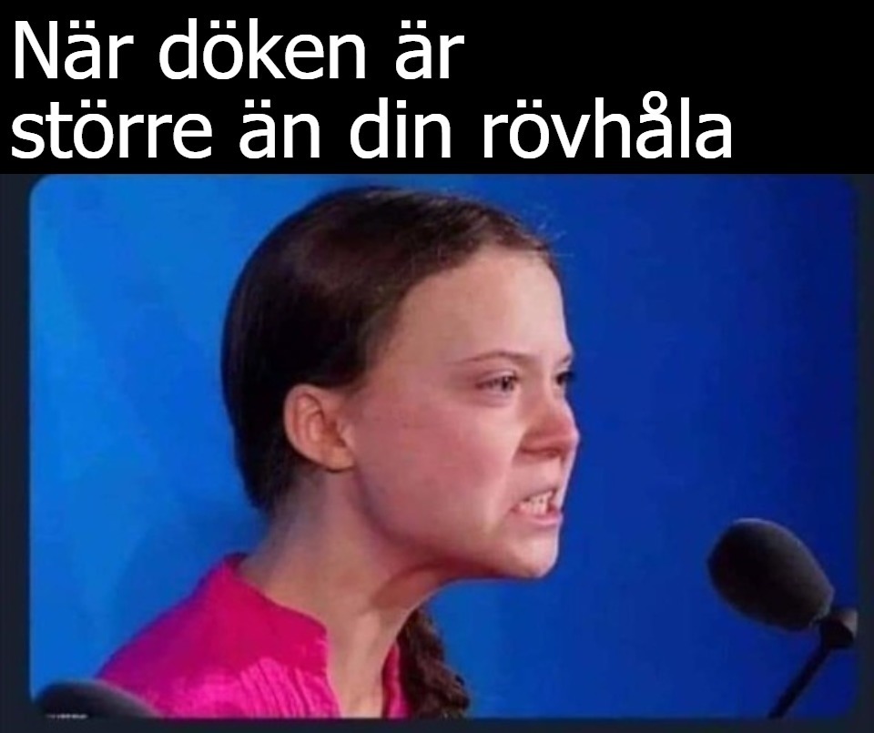 När döken är större än din rövhåla (Swedish) | image tagged in dookie,asshole,language translator,google translator,ecofascist greta thunberg,sweden | made w/ Imgflip meme maker