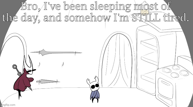 Smh | Bro, I've been sleeping most of the day, and somehow I'm STILL tired. | image tagged in hornet hides cookies from ghost | made w/ Imgflip meme maker