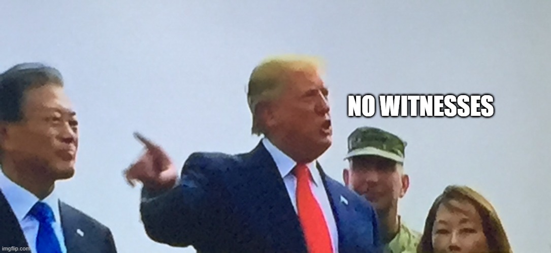 NO WITNESSES | image tagged in trump demilitarised zone | made w/ Imgflip meme maker