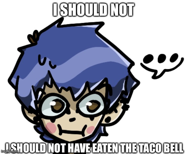 nausea and inexplicable stomach cramps on the right side of my stomach time | I SHOULD NOT; I SHOULD NOT HAVE EATEN THE TACO BELL | made w/ Imgflip meme maker