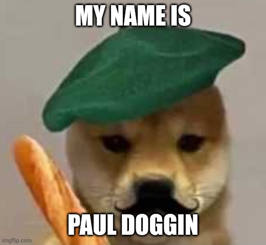 French Doge | MY NAME IS; PAUL DOGGIN | image tagged in french doge | made w/ Imgflip meme maker