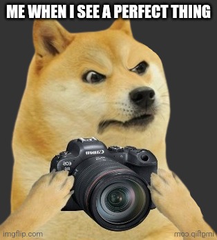 Doge camera | ME WHEN I SEE A PERFECT THING | image tagged in doge camera | made w/ Imgflip meme maker