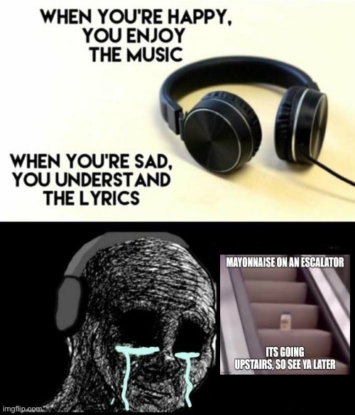 Bye-Bye! | image tagged in when your sad you understand the lyrics,mayonnaise,escalator,music,sad,funny | made w/ Imgflip meme maker