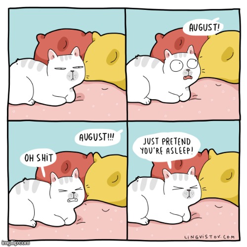 A Cat's Way Of Thinking | image tagged in memes,comics,cats,call me,oh shit,asleep | made w/ Imgflip meme maker