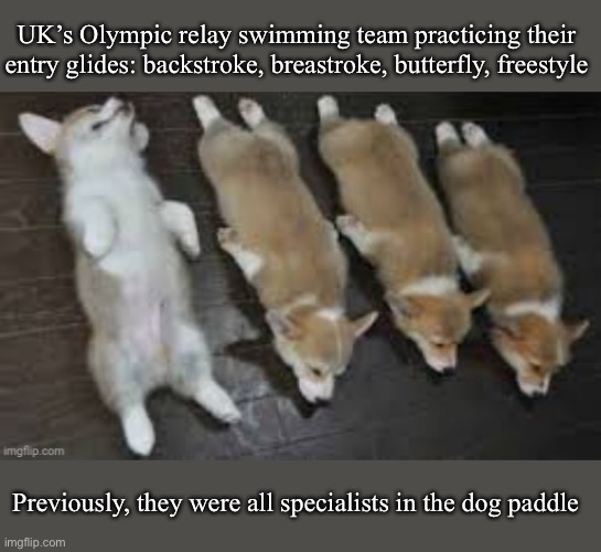 Start on your back and | UK’s Olympic relay swimming team practicing their entry glides: backstroke, breastroke, butterfly, freestyle; Previously, they were all specialists in the dog paddle | image tagged in breasts,fly,free,swimming,relay | made w/ Imgflip meme maker