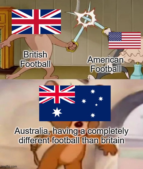 Tom and Spike fighting | British Football; American Football; Australia, having a completely different football than britain | image tagged in tom and spike fighting | made w/ Imgflip meme maker