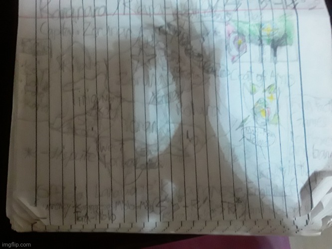 I made a fictional country called Karanara. (srry for bad quality.) | made w/ Imgflip meme maker