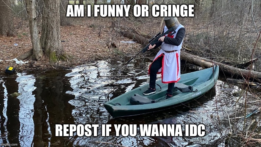 crusader points sniper rifle into extremely shallow pond | AM I FUNNY OR CRINGE; REPOST IF YOU WANNA IDC | image tagged in crusader points sniper rifle into extremely shallow pond | made w/ Imgflip meme maker