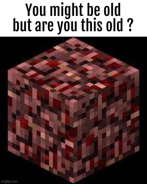 You might be old but are you this old ? | image tagged in memes,minecraft | made w/ Imgflip meme maker