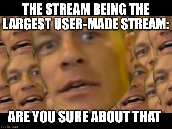 Are you sure about that | THE STREAM BEING THE LARGEST USER-MADE STREAM: ARE YOU SURE ABOUT THAT | image tagged in are you sure about that | made w/ Imgflip meme maker