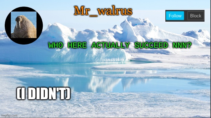 Mr_walrus | WHO HERE ACTUALLY SUCCEED NNN? (I DIDN'T) | image tagged in mr_walrus | made w/ Imgflip meme maker