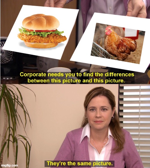 But they are the same.. aren't they? | image tagged in memes,they're the same picture | made w/ Imgflip meme maker