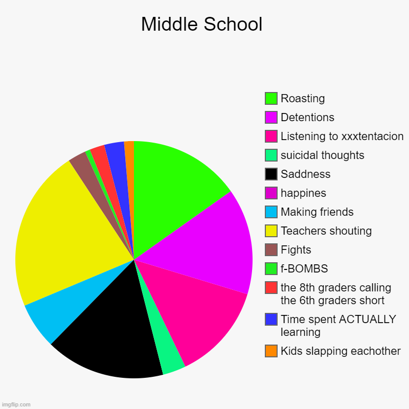 Middle School | Kids slapping eachother, Time spent ACTUALLY learning, the 8th graders calling the 6th graders short, f-BOMBS, Fights, Teach | image tagged in charts,pie charts | made w/ Imgflip chart maker