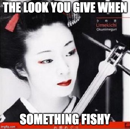 umekichi | THE LOOK YOU GIVE WHEN; SOMETHING FISHY | image tagged in umekichi,funny,fishy,sus | made w/ Imgflip meme maker
