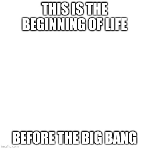 Blank Transparent Square Meme | THIS IS THE BEGINNING OF LIFE; BEFORE THE BIG BANG | image tagged in memes,blank transparent square | made w/ Imgflip meme maker