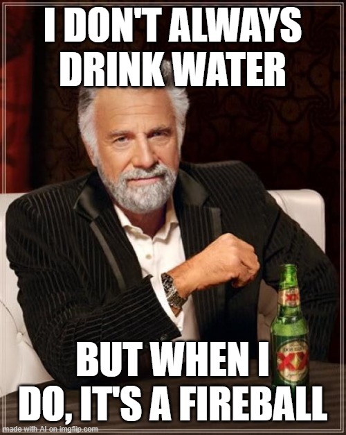 The Most Interesting Man In The World | I DON'T ALWAYS DRINK WATER; BUT WHEN I DO, IT'S A FIREBALL | image tagged in memes,the most interesting man in the world | made w/ Imgflip meme maker
