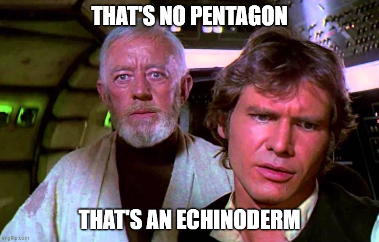 obi wan that's no moon that's a space station | THAT'S NO PENTAGON THAT'S AN ECHINODERM | image tagged in obi wan that's no moon that's a space station | made w/ Imgflip meme maker