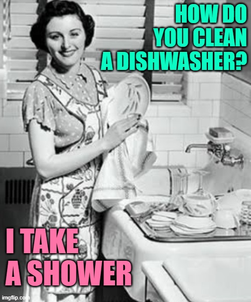 How Do You Clean a Dishwasher? | HOW DO YOU CLEAN A DISHWASHER? I TAKE A SHOWER | image tagged in washing dishes,housewife,humor,funny memes,dishwasher,jokes | made w/ Imgflip meme maker
