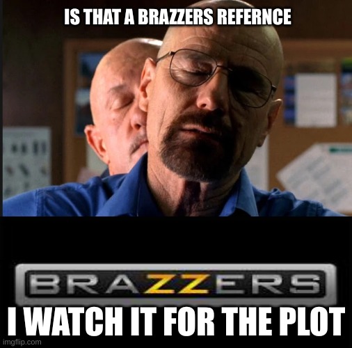 Breakin sus | IS THAT A BRAZZERS REFERNCE; I WATCH IT FOR THE PLOT | image tagged in mike and heisenberg | made w/ Imgflip meme maker