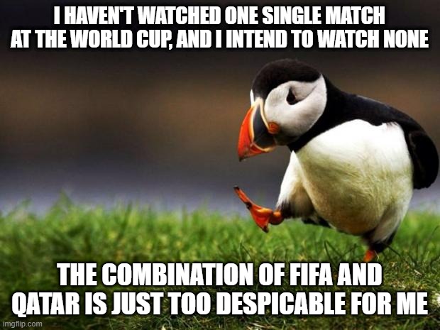 I just can't support that | I HAVEN'T WATCHED ONE SINGLE MATCH AT THE WORLD CUP, AND I INTEND TO WATCH NONE; THE COMBINATION OF FIFA AND QATAR IS JUST TOO DESPICABLE FOR ME | image tagged in memes,unpopular opinion puffin,qatar,soccer,fifa,fifa world cup | made w/ Imgflip meme maker