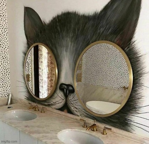 eye cat mirror | image tagged in cats | made w/ Imgflip meme maker