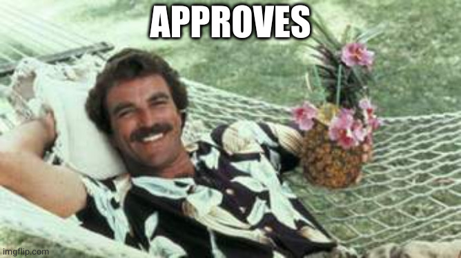 Hawaiian Tom Selleck | APPROVES | image tagged in hawaiian tom selleck | made w/ Imgflip meme maker