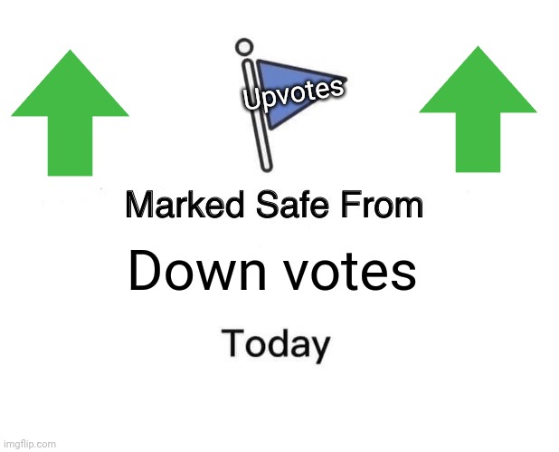 Pls don't beg for upvotes | Upvotes; Down votes | image tagged in memes,no upvotes,flag | made w/ Imgflip meme maker