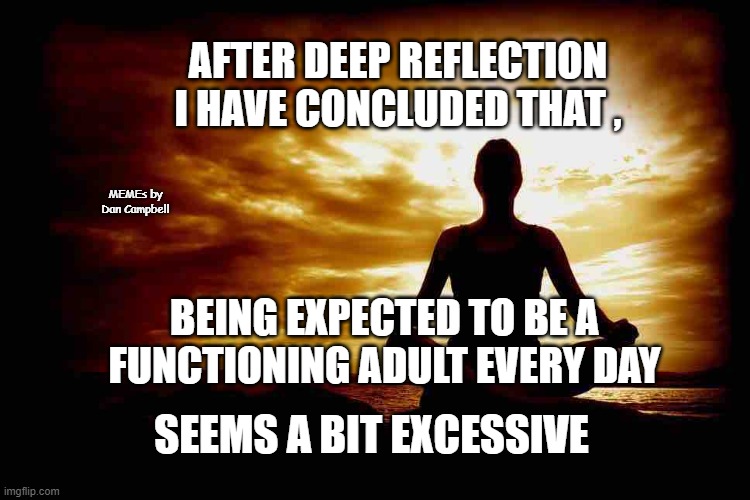 A Few Zen Thoughts For Those Who Take Life Too Seriously |  AFTER DEEP REFLECTION
I HAVE CONCLUDED THAT , MEMEs by Dan Campbell; BEING EXPECTED TO BE A FUNCTIONING ADULT EVERY DAY; SEEMS A BIT EXCESSIVE | image tagged in a few zen thoughts for those who take life too seriously | made w/ Imgflip meme maker