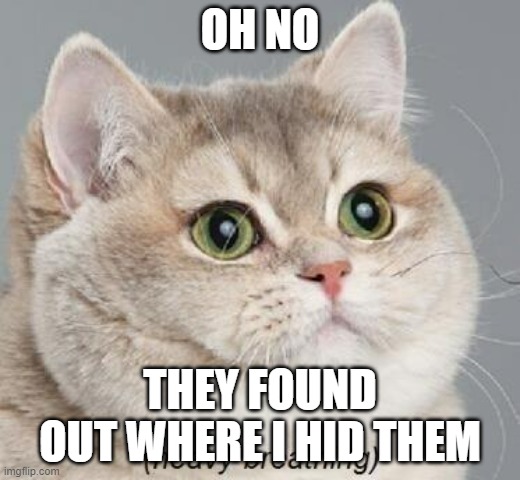 help me please | OH NO; THEY FOUND OUT WHERE I HID THEM | image tagged in memes,heavy breathing cat | made w/ Imgflip meme maker