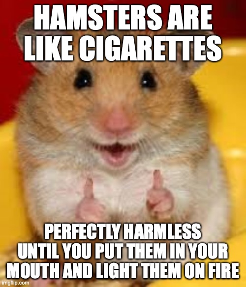 Thumbs up hamster  | HAMSTERS ARE LIKE CIGARETTES; PERFECTLY HARMLESS UNTIL YOU PUT THEM IN YOUR MOUTH AND LIGHT THEM ON FIRE | image tagged in thumbs up hamster | made w/ Imgflip meme maker