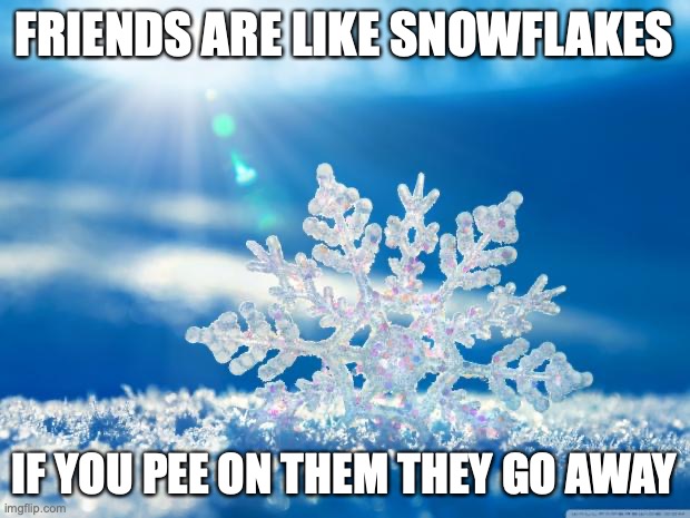 snowflake | FRIENDS ARE LIKE SNOWFLAKES; IF YOU PEE ON THEM THEY GO AWAY | image tagged in snowflake | made w/ Imgflip meme maker
